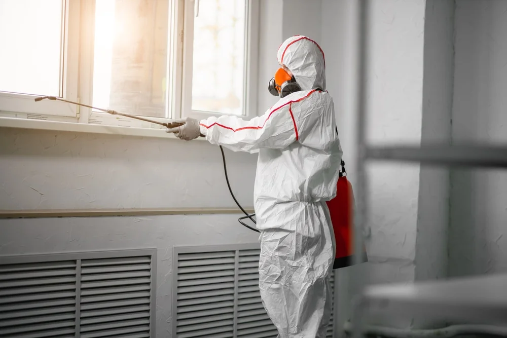 Professional mold remediation services in Swiftwater, PA